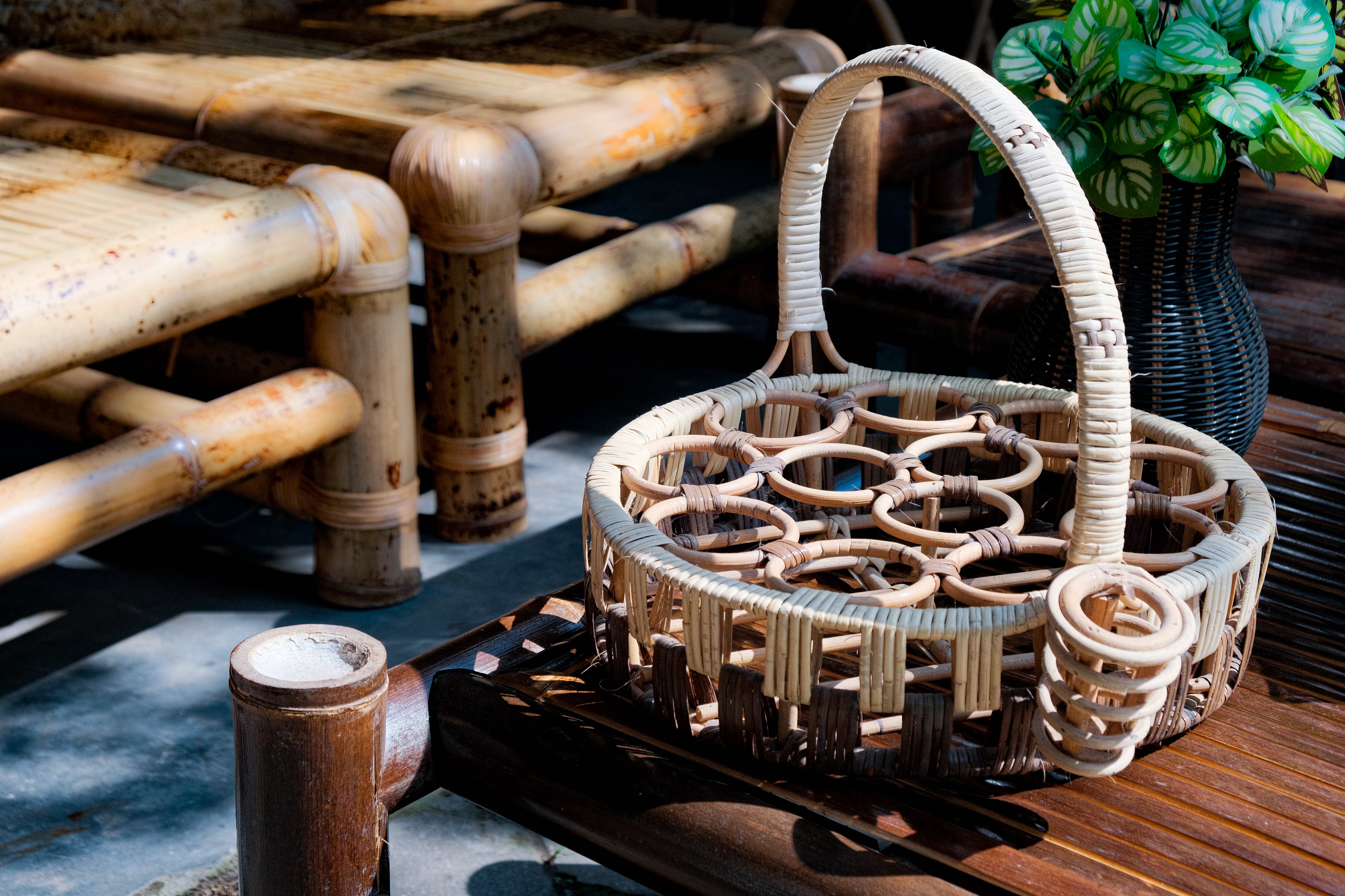 dari-semak-ke-dunia-kisah-bambu-indah-sendari-yang-mendunia-2026-02-2200